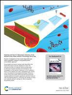 Graphical abstract: Inside back cover