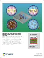 Graphical abstract: Inside back cover