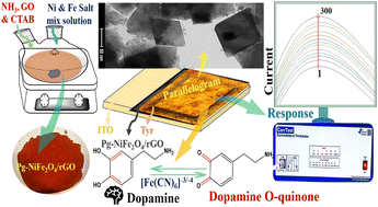 Graphical abstract: Nanoengineered parallelogram-NiFe2O4/rGO nanocomposite-based biosensing interface for highly efficient electrochemical detection of neurodegenerative disorders via dopamine monitoring