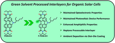 Graphical abstract: A fluorinated perylene diimide for polar and non-polar green solvent processed organic photovoltaic cathode interlayers