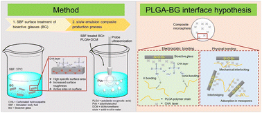 Graphical abstract: Surface modification of bioactive glasses for successful incorporation with poly(lactic-co-glycolic acid) (PLGA)