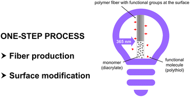 Graphical abstract: Simultaneous photo-induced polymerization and surface modification by microfluidic spinning to produce functionalized polymer microfibers: the effect of their surface modification on cell adhesion