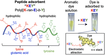 Graphical abstract: Aromatic polypeptide amphiphiles for drug adsorption: a new approach for drug overdose treatment