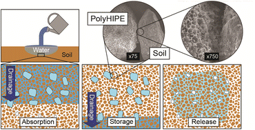 Graphical abstract: Macroporous hydrogels for soil water retention in arid and semi-arid regions