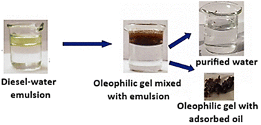 Graphical abstract: Pristine coconut husk biowaste and 2-ethylhexyl acrylate/methyl acrylate-based novel oleophilic gels for oil spill cleanup