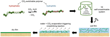 Graphical abstract: Crosslinking CO2-switchable polymers for paints and coatings applications