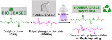 Graphical abstract: Synthesis of bio-sourced liquid resins and their photopolymerization with poly(ethylene glycol) diacrylate in the roadmap to more sustainable digital light processing technologies