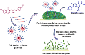 Graphical abstract: Triblock copolymer micelles enhance solubility, permeability and activity of a quorum sensing inhibitor against Pseudomonas aeruginosa biofilms