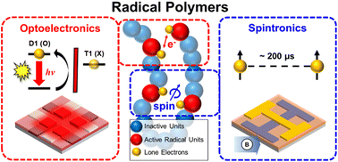 Graphical abstract: Radical polymers in optoelectronic and spintronic applications