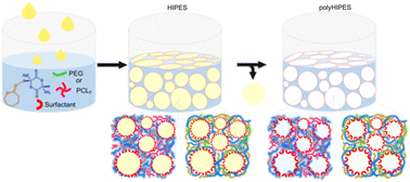 Graphical abstract: Ring-opening polymerization of emulsion-templated deep eutectic system monomer for macroporous polyesters with controlled degradability