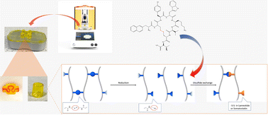 Graphical abstract: Fabrication of 3D objects incorporating peptides covalently attached via reversible disulfide linkages with potential for controlled drug release