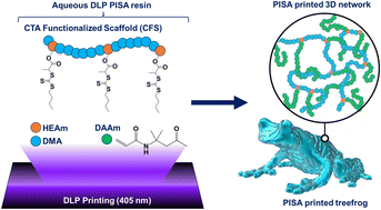 Graphical abstract: PISA printing from CTA functionalized polymer scaffolds