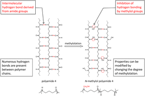 Graphical abstract: Synthesis of N-methylol polyamide 4: characterization, properties, and biodegradability