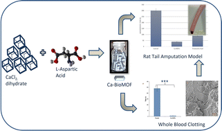 Graphical abstract: Development of novel aspartic acid-based calcium bio-MOF designed for the management of severe bleeding