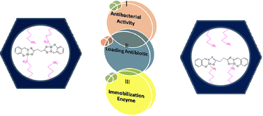 Graphical abstract: Synthesis of novel mesoporous silica nanoparticles functionalized with succinic dihydrazone Schiff-base metal complexes and a study of their biological activities