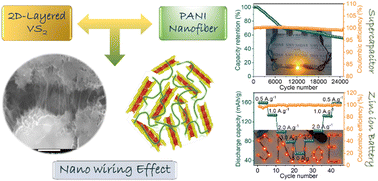 Graphical abstract: Nano-wired polyaniline/VS2 composite materials for quasi-solid-state supercapacitor and zinc-ion battery applications