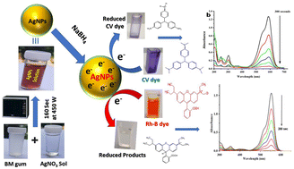 Graphical abstract: Green synthesis of Mesona Blumes gum capped silver nanoparticles and their antioxidant, antibacterial and catalytic studies