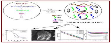 Graphical abstract: Synthesis and rheological investigations of gum-ghatti-cl-poly(NIPA-co-AA)-graphene oxide based hydrogels