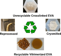 Graphical abstract: Vitrimerization of crosslinked elastomers: a mechanochemical approach for recycling thermoset polymers