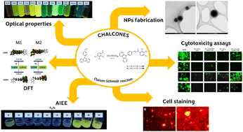Graphical abstract: Fabrication of photoluminescent nanoparticles from carbazole-derived chalcones: a study of optical properties, cell biomarking, and metabolism