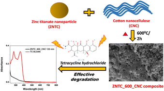Graphical abstract: Photodegradation of emerging contaminant tetracycline using a zinc titanate nanocellulose composite as an efficient photocatalyst
