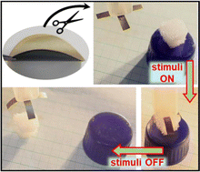 Graphical abstract: Light and solvent-driven actuator of clay and vanadium pentoxide nanosheets