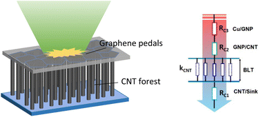 Graphical abstract: Laser engineering of heterostructured graphitic petals on carbon nanotube forests for robust thermal interface capable of swift heat transfer