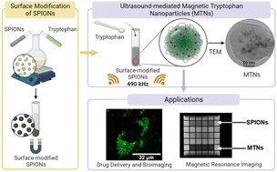 Graphical abstract: Ultrasound-driven fabrication of hybrid magnetic tryptophan nanoparticles
