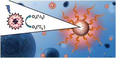 Graphical abstract: PEGylated poly(lactic-co-glycolic acid) nanoparticles doped with molybdenum-iodide nanoclusters as a promising photodynamic therapy agent against ovarian cancer