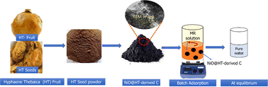 Graphical abstract: Removal of methyl red from wastewater using a NiO@Hyphaene thebaica seed-derived porous carbon adsorbent: kinetics and isotherm studies
