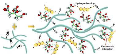 Graphical abstract: Preparation of citric acid/porous starch composite adsorbents and their adsorption studies