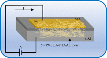 Graphical abstract: Electro-spun poly(lactic acid)/poly(triarylamine)(PLA/PTAA) composite nanofibers with low PLA content for fiber-based electronic applications