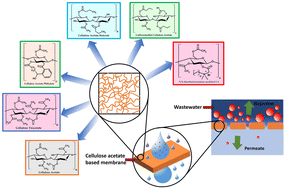 Graphical abstract: Cellulose acetate-based membrane for wastewater treatment—A state-of-the-art review