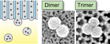 Graphical abstract: Fabrication of nanoparticle assemblies with a controlled number of constituent nanoparticles by membrane emulsification using anodic porous alumina