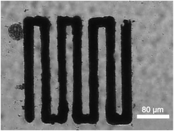 Graphical abstract: Site-specific catalysis on a micro-catalytic chip by synergistic silencing of site-directing electronic effects of functional groups in aromatics