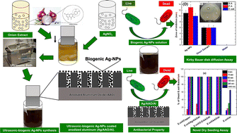 Graphical abstract: Ultrasonic–biogenic synthesis of silver on anodized aluminum with superior antibacterial properties