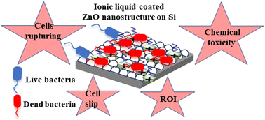 Graphical abstract: Nanostructured antimicrobial ZnO surfaces coated with an imidazolium-based ionic liquid
