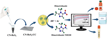 Graphical abstract: Unveiling the capability of graphitic carbon nitride–rhenium disulfide nanocomposite as an electrochemical sensing platform for the detection of dimetridazole from human serum samples