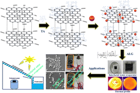 Graphical abstract: A Multifunctional tannic acid–Fe3+–graphene oxide loaded alginate photothermal network: an interfacial water evaporator, a disinfector and a power generator