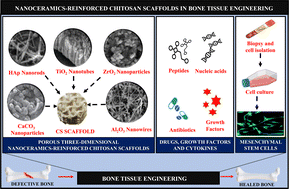 Graphical abstract: Nanoceramics-reinforced chitosan scaffolds in bone tissue engineering