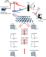 Graphical abstract: Investigation of charge carrier dynamics in a Ti3C2Tx MXene for ultrafast photonics applications