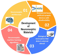 Graphical abstract: Computing of neuromorphic materials: an emerging approach for bioengineering solutions