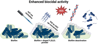 Graphical abstract: Enhanced biocidal activity of Pr3+ doped yttrium silicates by Tm3+ and Yb3+ co-doping