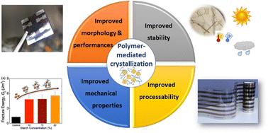 Graphical abstract: Incorporation of functional polymers into metal halide perovskite thin-films: from interactions in solution to crystallization