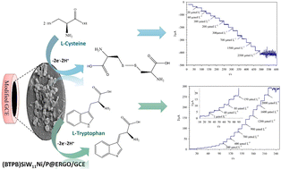 Graphical abstract: A novel bio-electrochemical sensor based on a 1,4-bis(triphenylphosphonium)butane)3[SiW11O39Ni(H2O)]/P@ERGO nanocomposite for the selective determination of l-cysteine and l-tryptophan