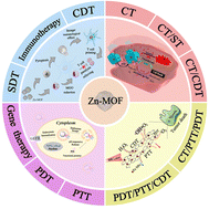 Graphical abstract: Recent advances in Zn-MOFs and their derivatives for cancer therapeutic applications