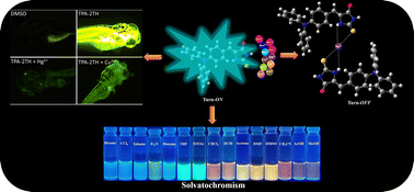 Graphical abstract: A novel triphenylamine based push–pull fluorophore bearing a 2-thiohydantoin unit for toxic Hg2+ ion detection: exploring its potential for live cell imaging