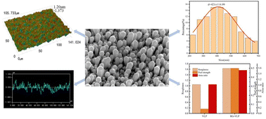 Graphical abstract: Preparation of an ultra-low profile and high peel strength copper foil with rice-grain microstructures