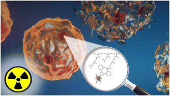 Graphical abstract: Radiosensitizing molybdenum iodide nanoclusters conjugated with a biocompatible N-(2-hydroxypropyl)methacrylamide copolymer: a step towards radiodynamic therapy