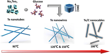 Graphical abstract: Morphology-controlled green synthesis of tellurium nanostructures and applications of Te/MXene hybrid structures